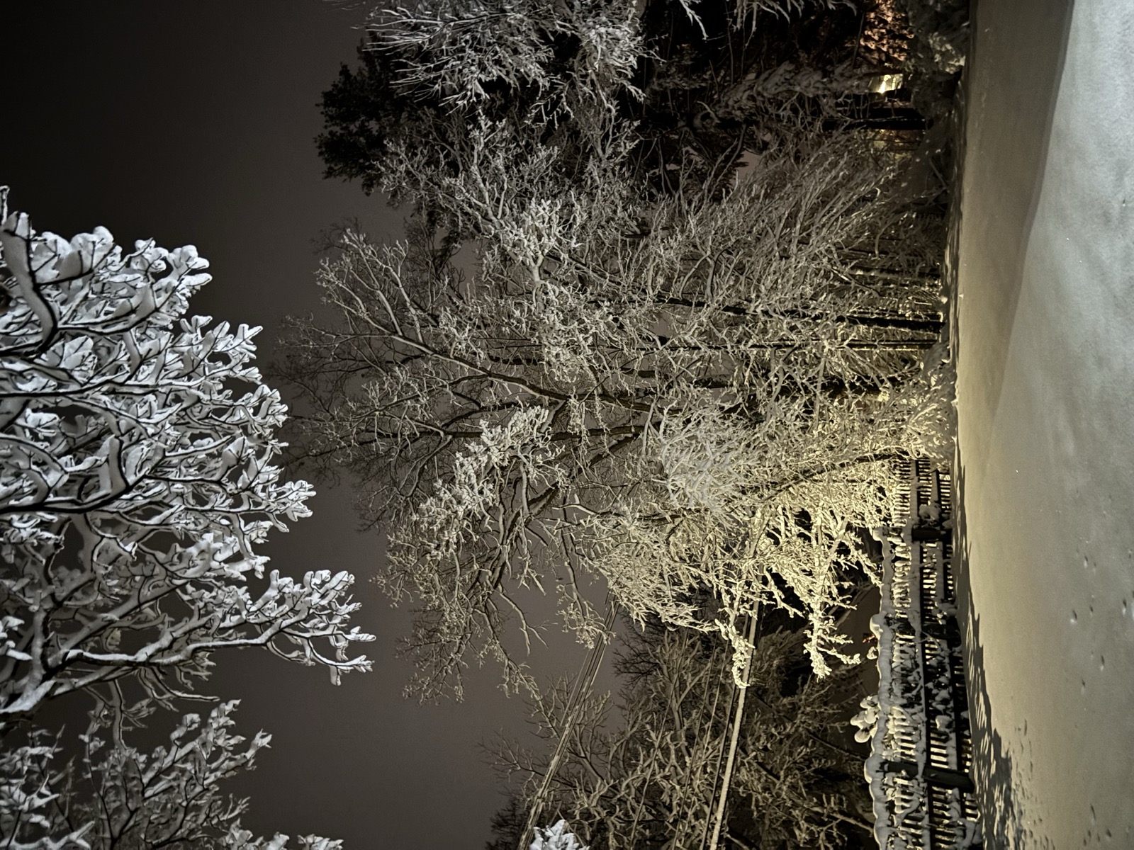 Snowstorm in Acton, Massachusetts